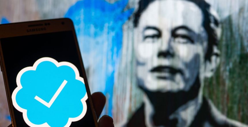 Elon Musk wants to launch a Twitter video app for smart TVs to revive falling ad sales